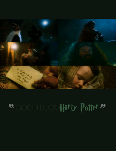  Good Luck Harry Potter