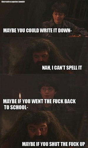  Hagrid Can't Spell