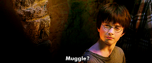  Muggle?