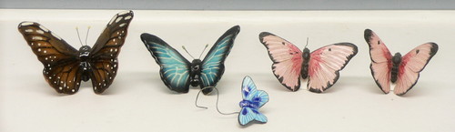 Rare Butterflies