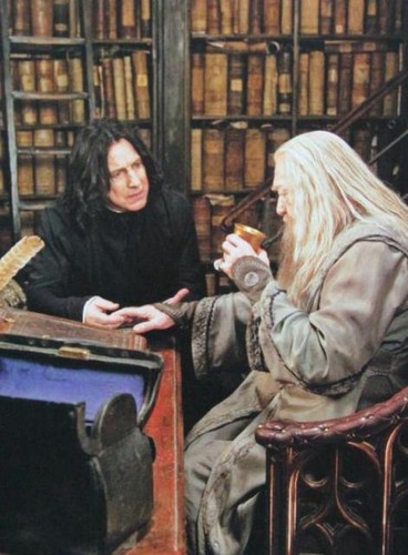 Snape and Albus