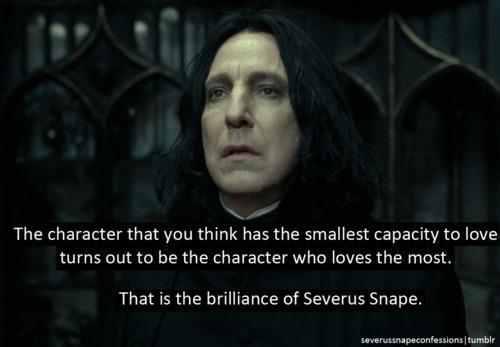 Snape's Brilliance