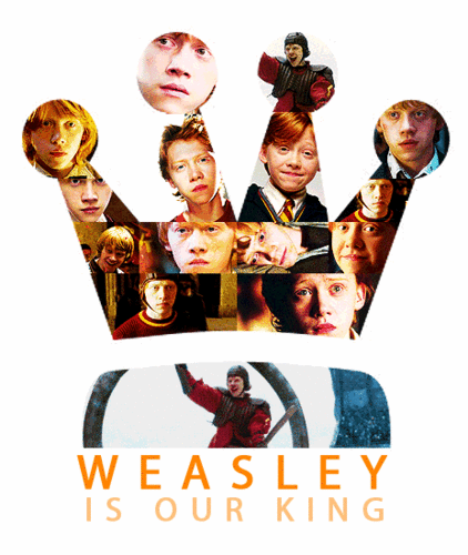  Weasley Is Our King