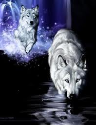  White Волки