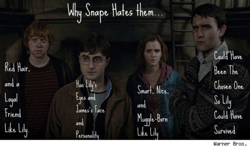 Why Snape Hates