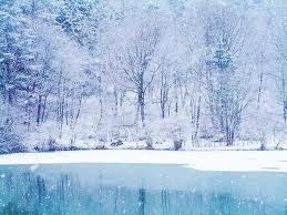  Wonderful Winter