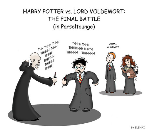  Harry vs. Voldemort