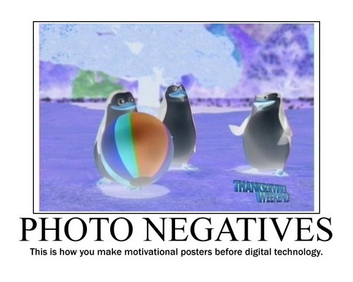 Photo Negative Motivational Poster