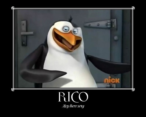  Rico