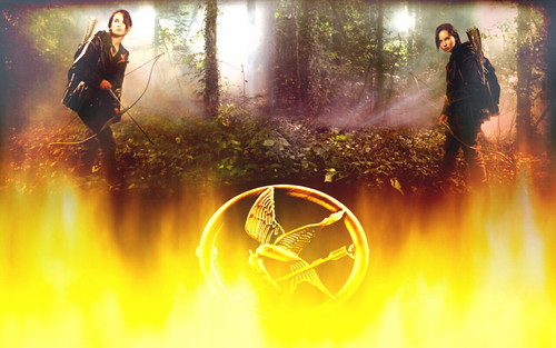  The Hunger Games wolpeyper