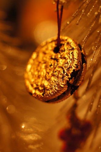  the holy golden oreo