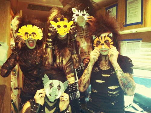  ☆ BVB ☆ Party animales