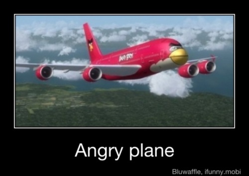 Angry Birds Funnies!