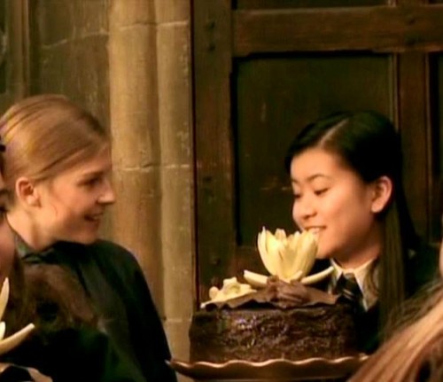Cho Chang and Fleur Delacour