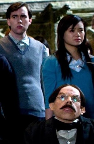  Cho Chang with Neville Longbottom and Filius Flitwick