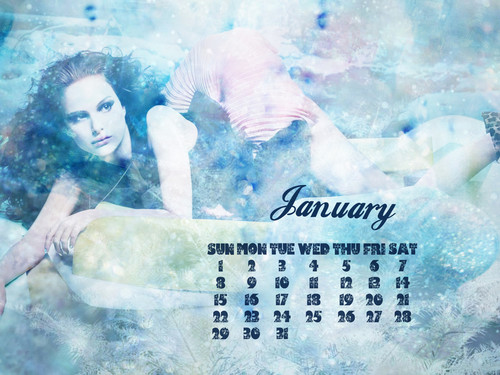 NP.COM Calendar > January