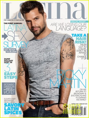  Ricky Martin: Trying for Baby Girl This Year?