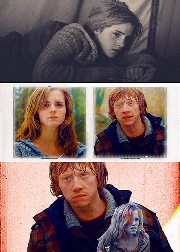  ron + hermione