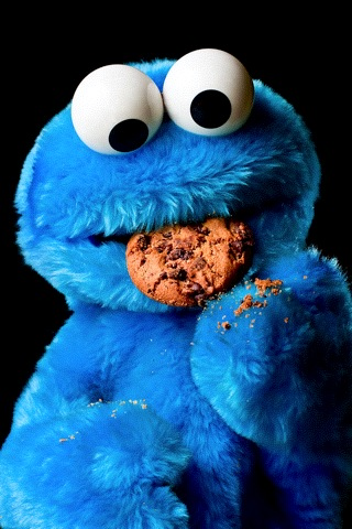  Cookie Monster