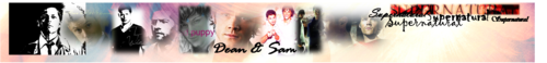  Dean & Sam Winchester Banner - Welcome In the new year!