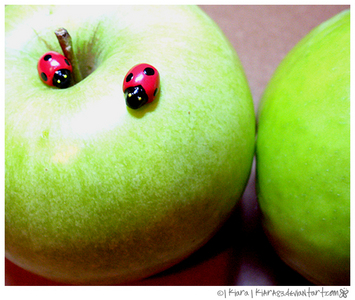  Green maçã, apple