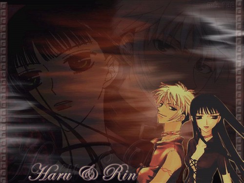 Haru and Rin wallpaper