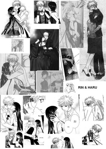  Rin & Haru Collage