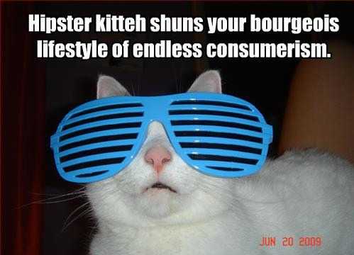  Hipster kitty