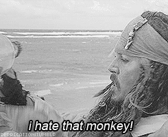  I hate that monkey