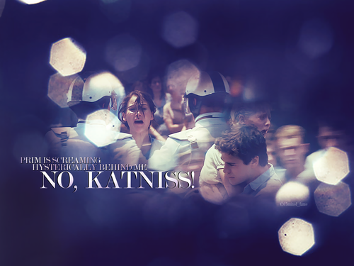  Katniss, Gale Hawthorne and Primrose Everdeen