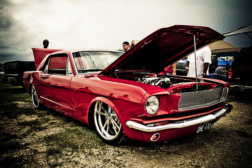 Mustang ;D