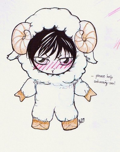 Ogami as a Sheep