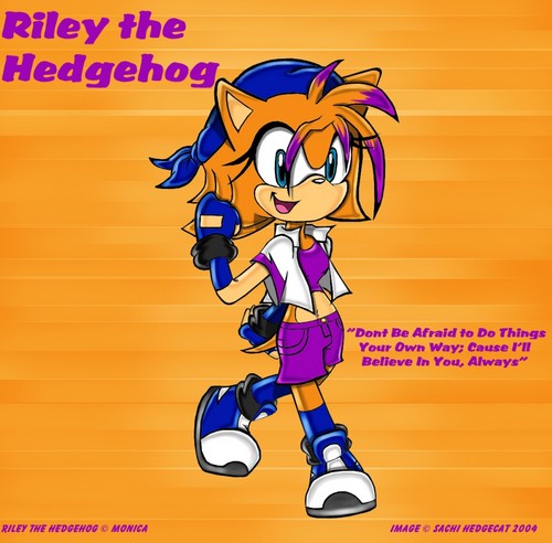  Riley the Hedgehog