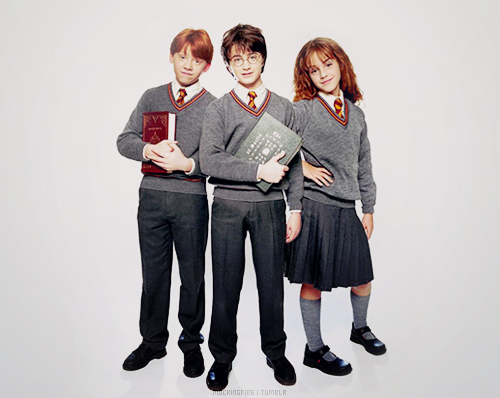  Ron, Harry & Hermione
