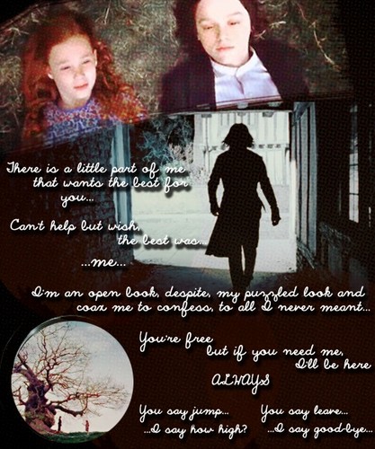  Snape/Lily