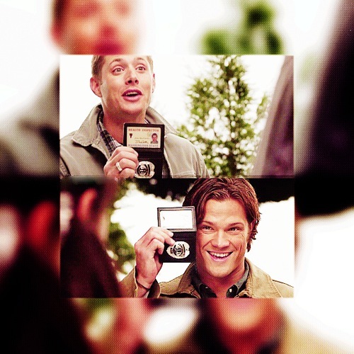  The Winchesters <3