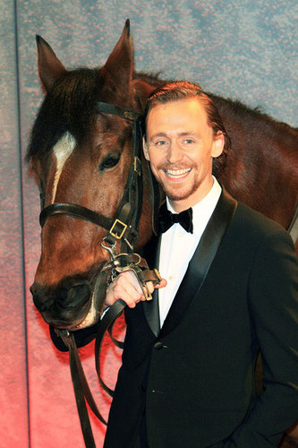  Tom Hiddleston - War Horse UK Premiere
