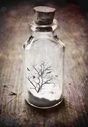 Tree in a jar