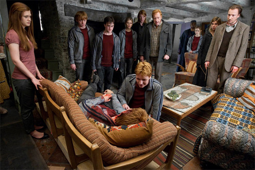  Weasley family with Những người bạn