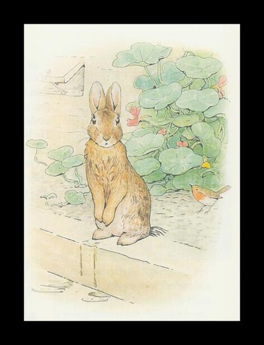  benjamin bunny peter rabbit