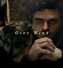 Robb & Grey Wind