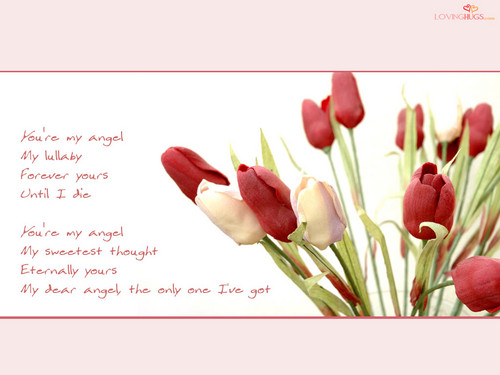 True Love - Romantic Wallpaper (33656960) - Fanpop