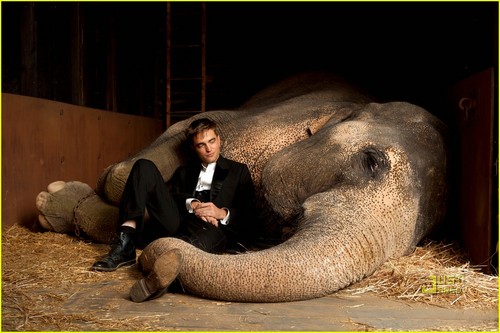  rtp in Water for Elephants