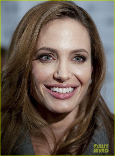  Angelina Jolie & Brad Pitt: 'Blood & Honey' DC Premiere!