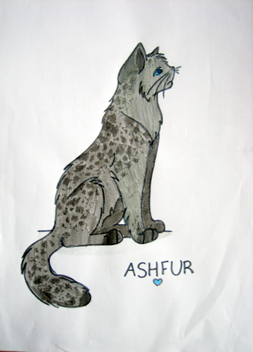  Ashfur