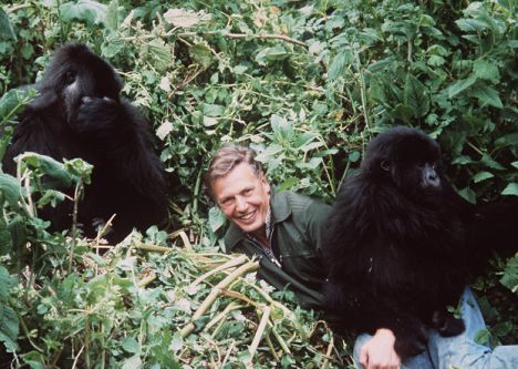 David Attenborough and Friends:)