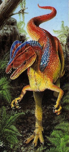  Dilophosaurus