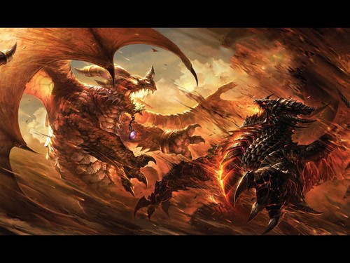 Dragons Fight 