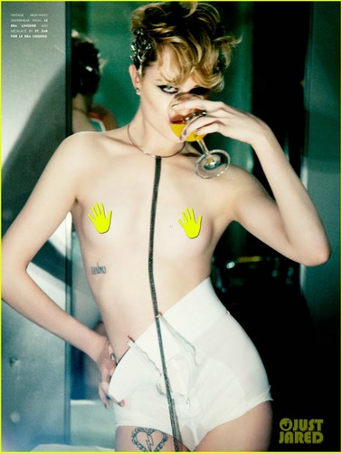  Evan Rachel Wood: Topless for Flaunt Magazine!