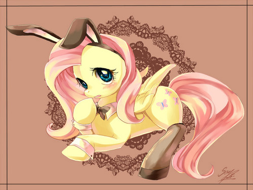  Fluttershy the bunny